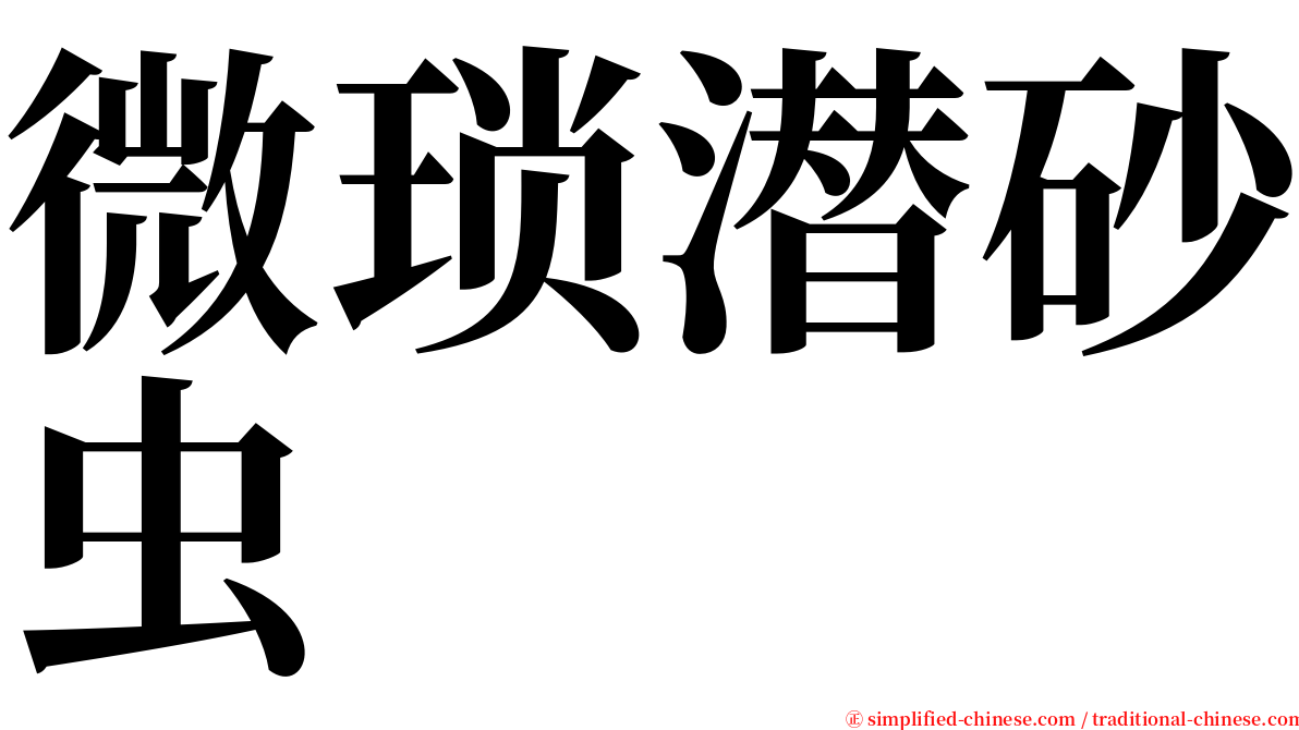 微琐潜砂虫 serif font