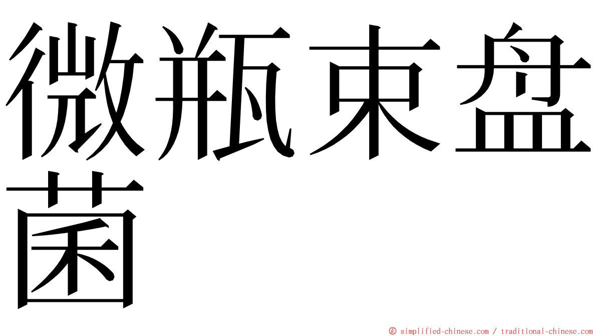 微瓶束盘菌 ming font
