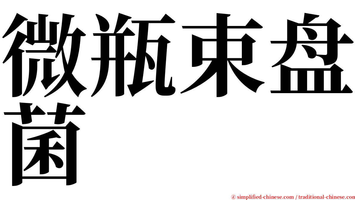 微瓶束盘菌 serif font