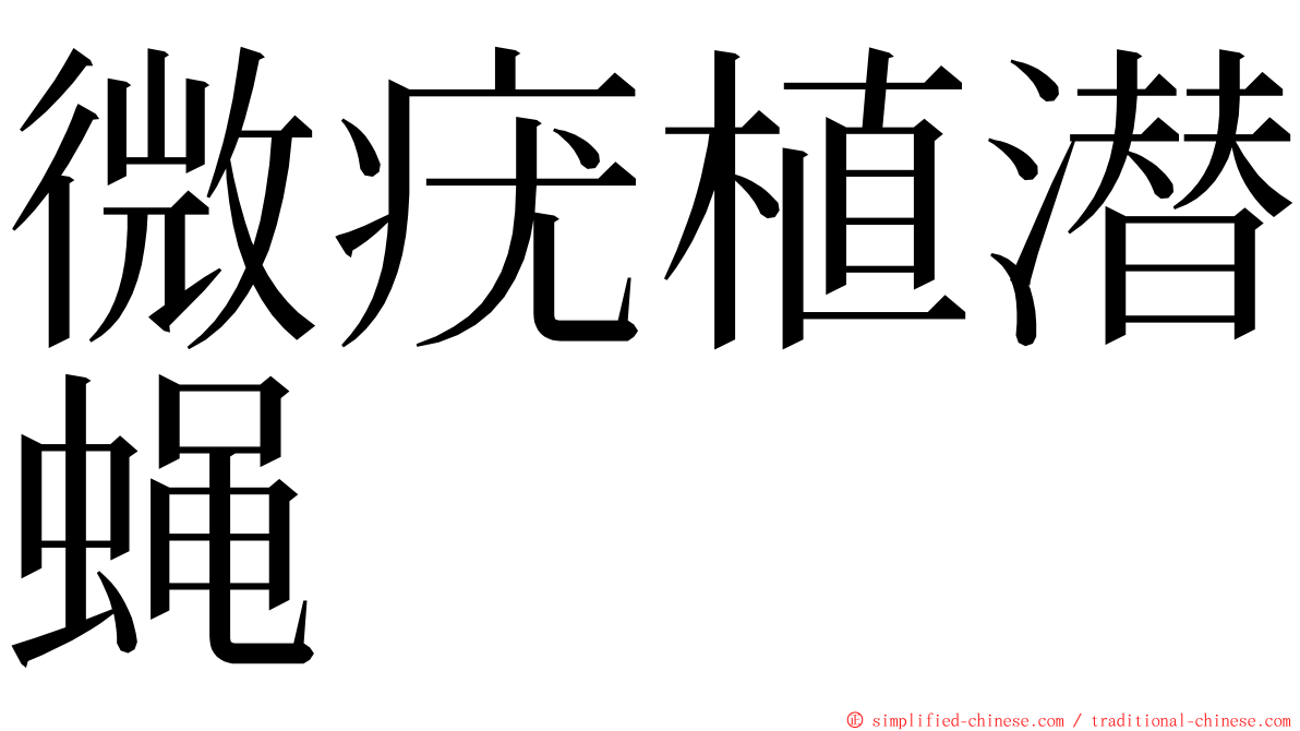 微疣植潜蝇 ming font