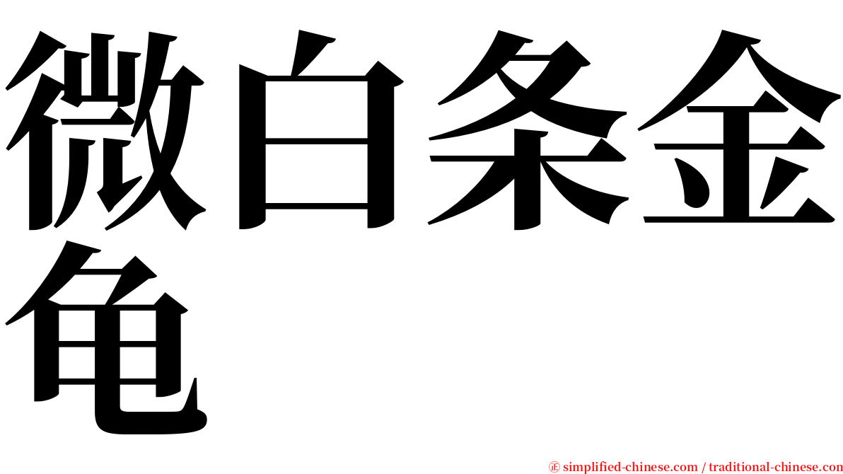 微白条金龟 serif font