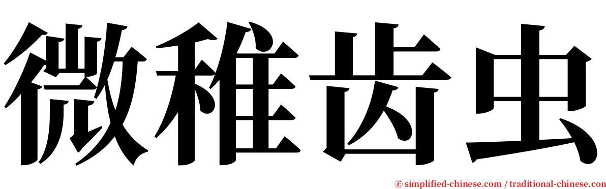 微稚齿虫 serif font