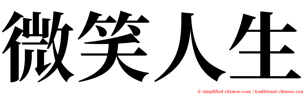 微笑人生 serif font