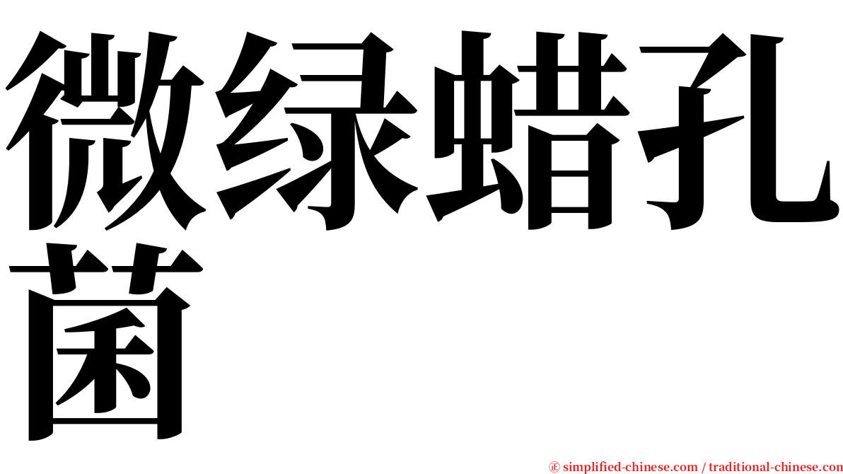 微绿蜡孔菌 serif font