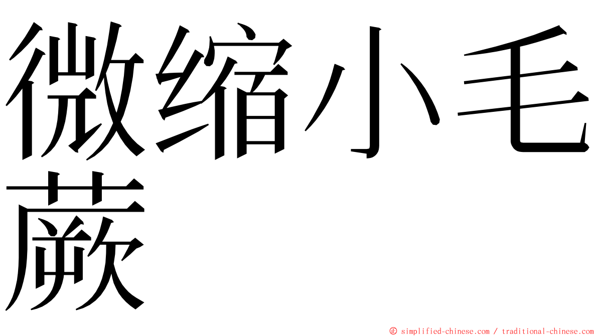 微缩小毛蕨 ming font