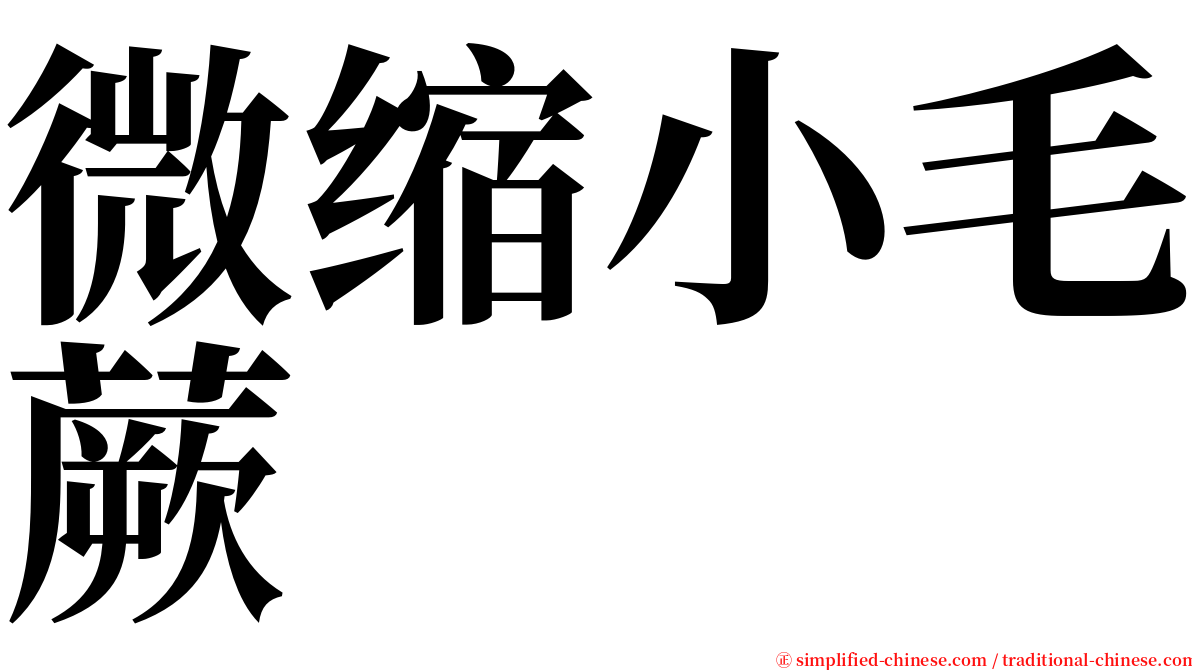 微缩小毛蕨 serif font