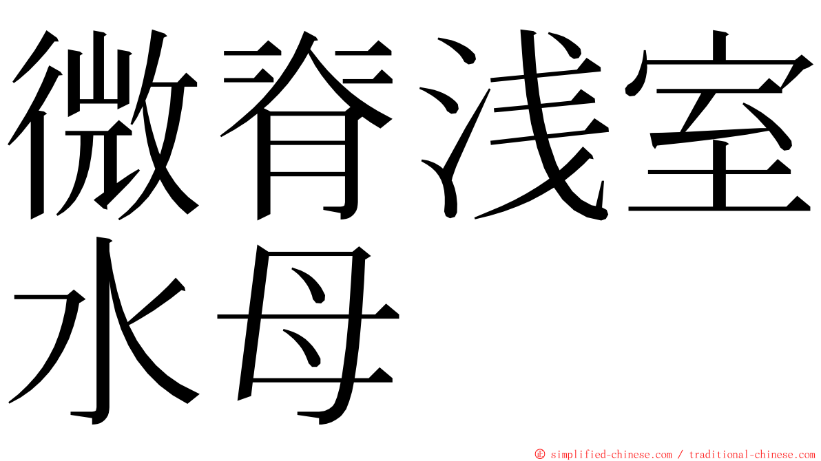 微脊浅室水母 ming font