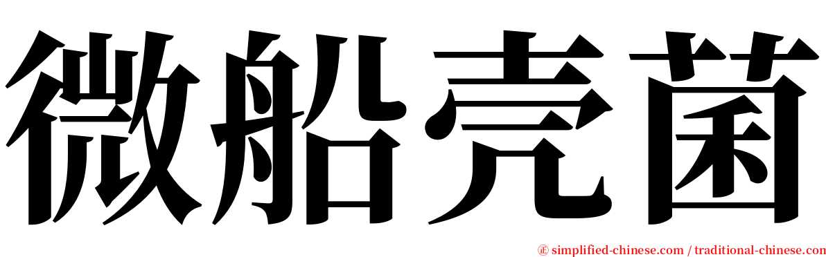 微船壳菌 serif font