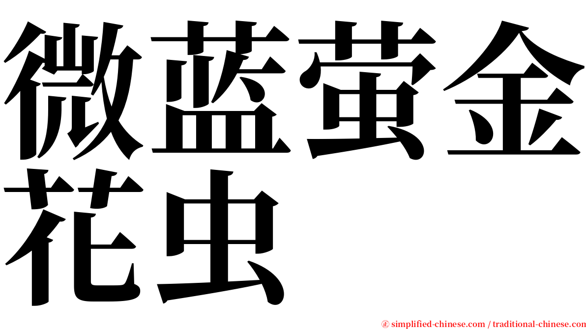 微蓝萤金花虫 serif font