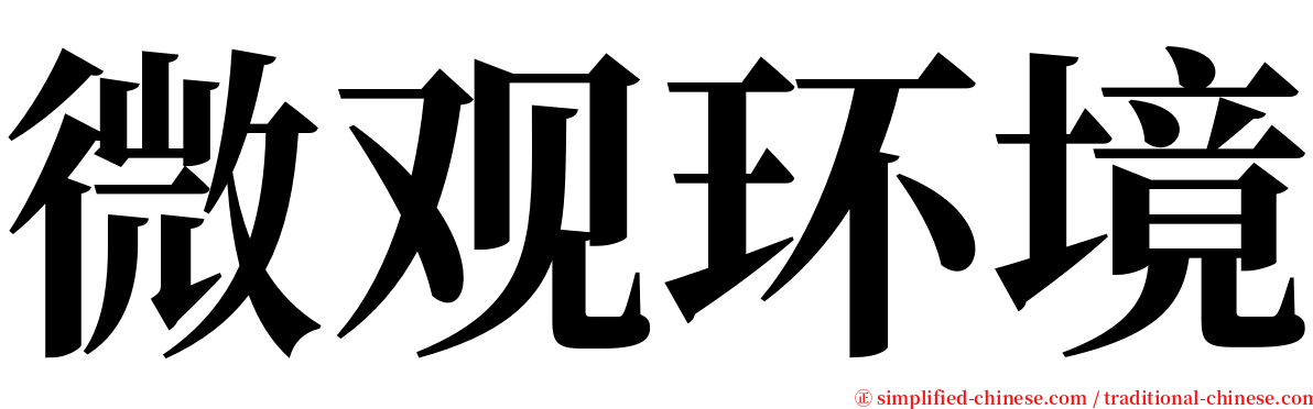 微观环境 serif font