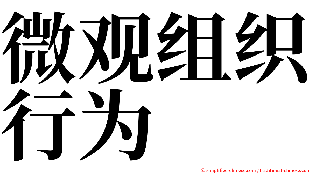 微观组织行为 serif font