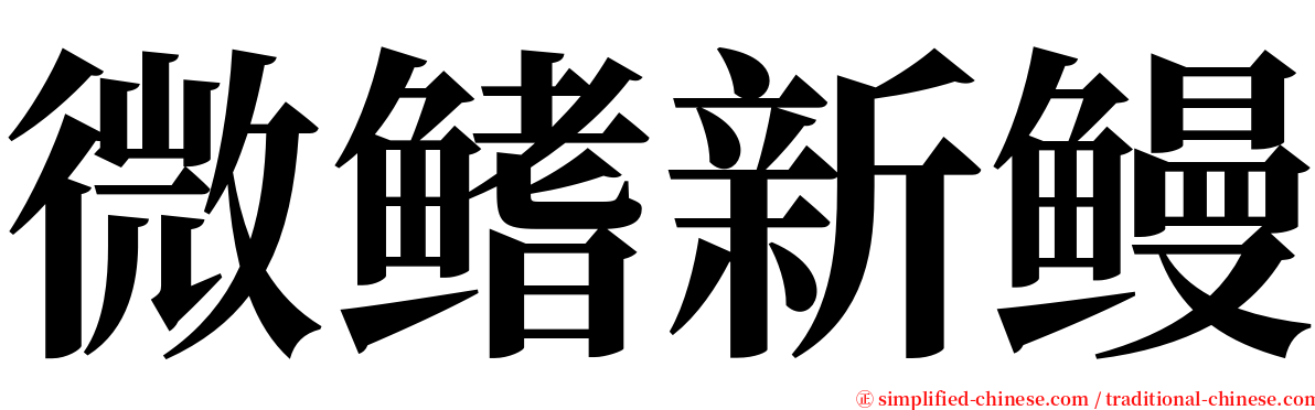 微鳍新鳗 serif font