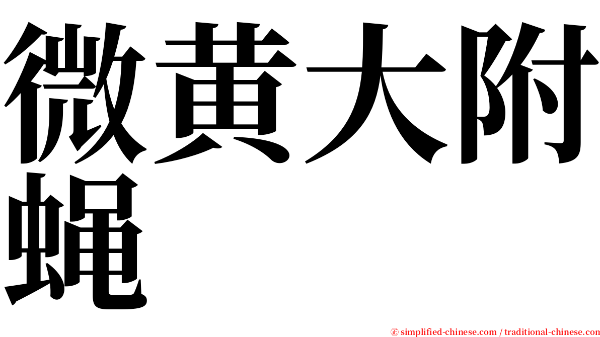 微黄大附蝇 serif font