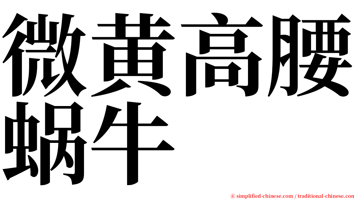 微黄高腰蜗牛 serif font