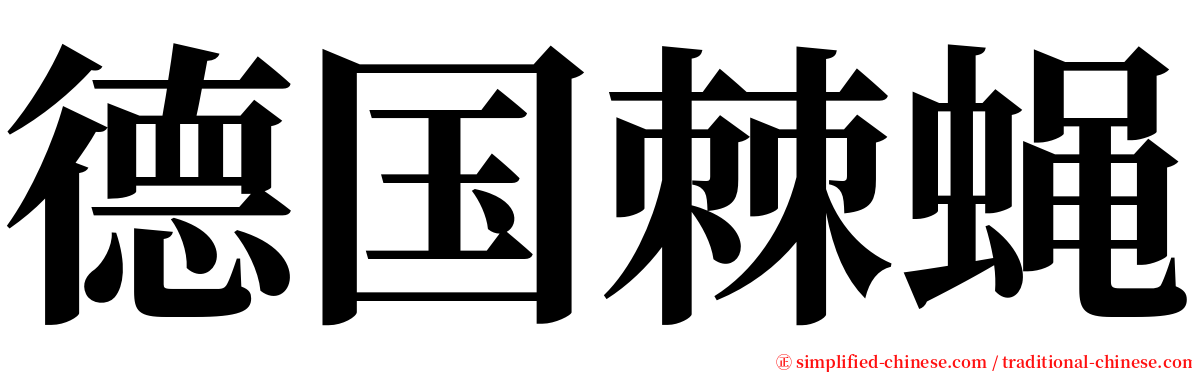 德国棘蝇 serif font