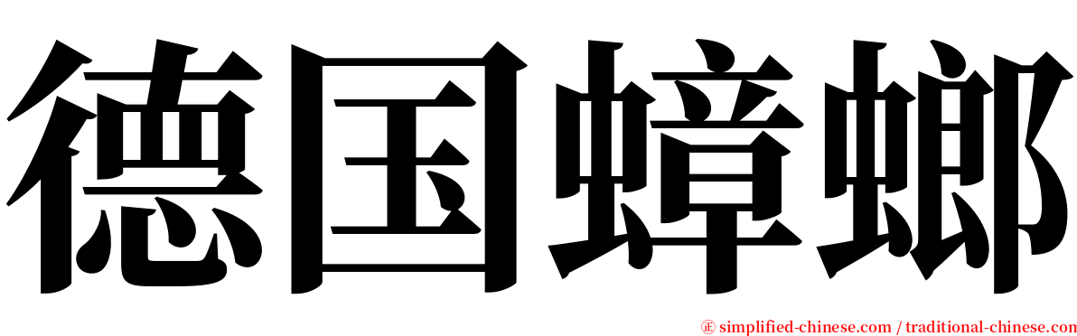 德国蟑螂 serif font