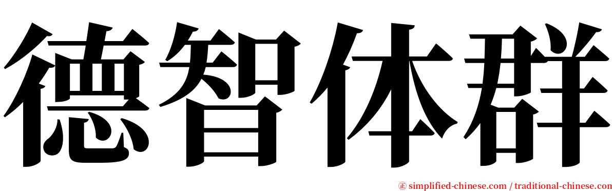 德智体群 serif font