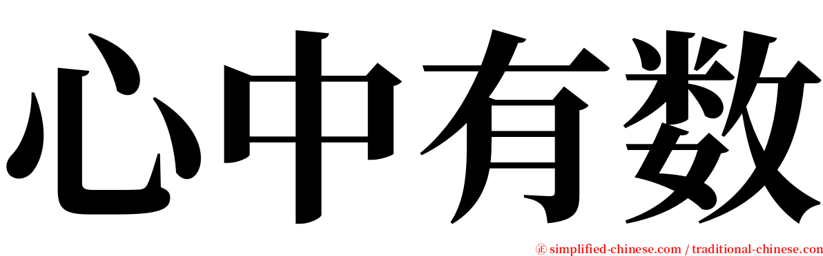 心中有数 serif font