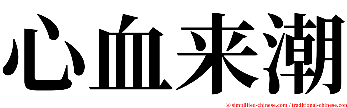 心血来潮 serif font