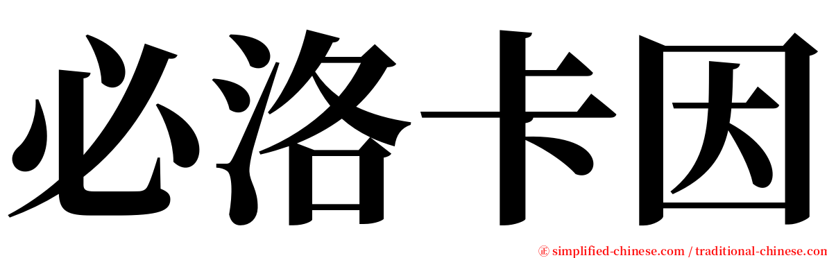 必洛卡因 serif font