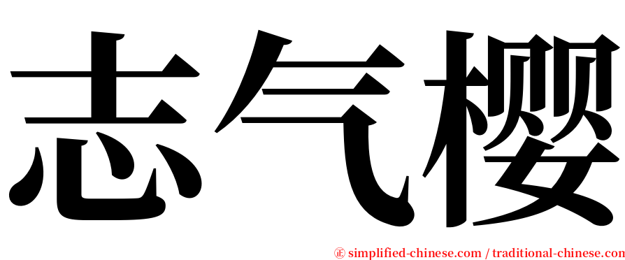 志气樱 serif font