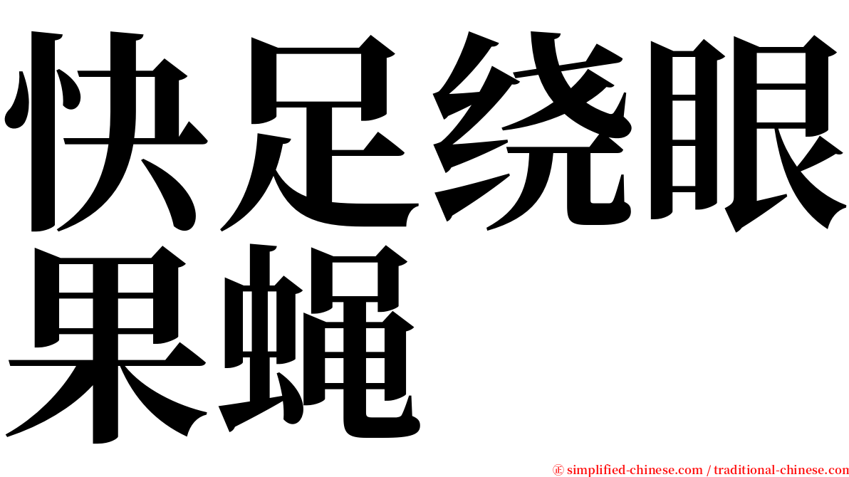 快足绕眼果蝇 serif font