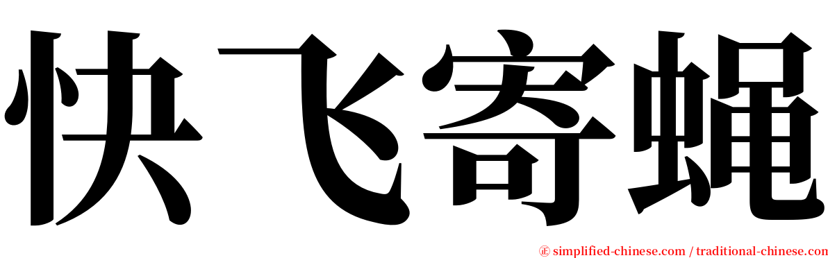 快飞寄蝇 serif font