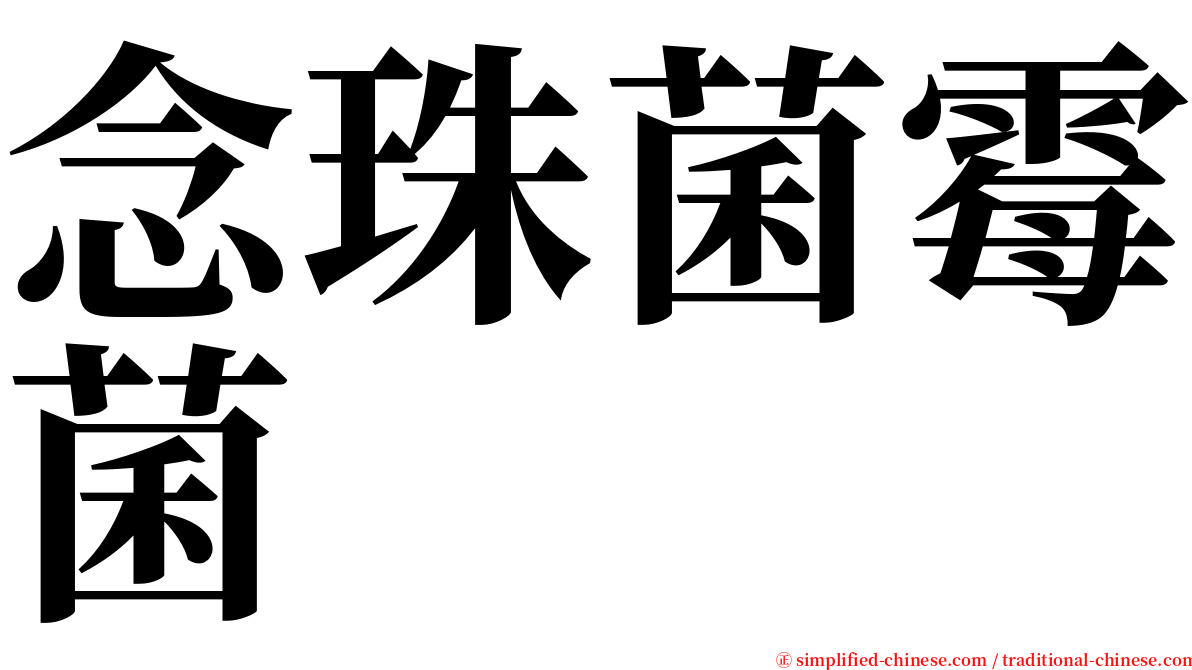 念珠菌霉菌 serif font