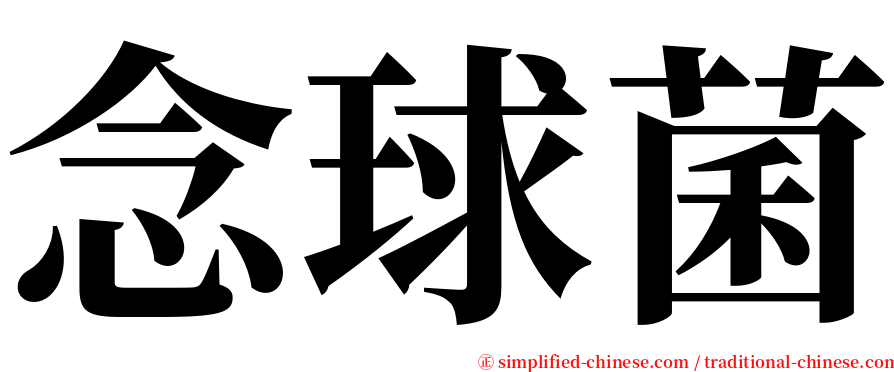 念球菌 serif font