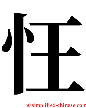 忹 serif font