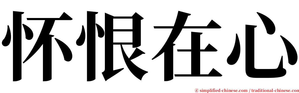 怀恨在心 serif font