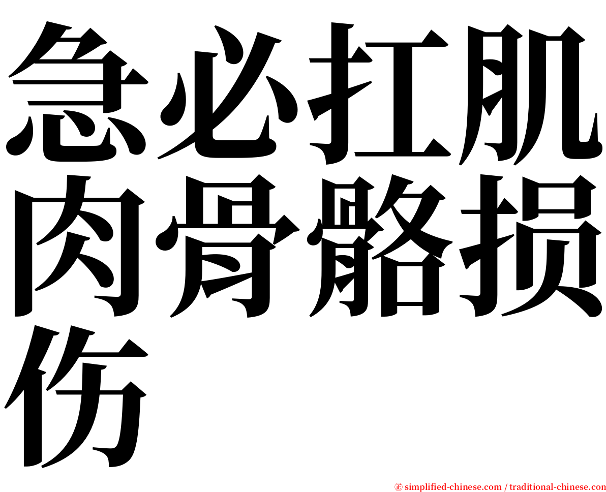 急必扛肌肉骨骼损伤 serif font