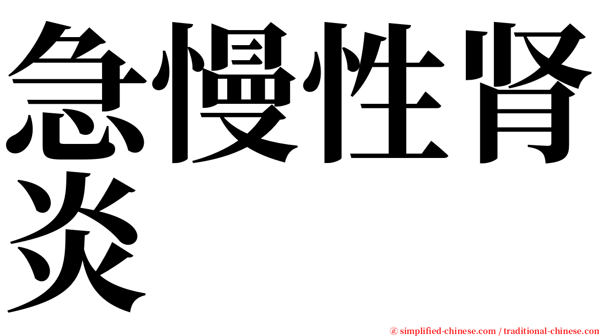 急慢性肾炎 serif font