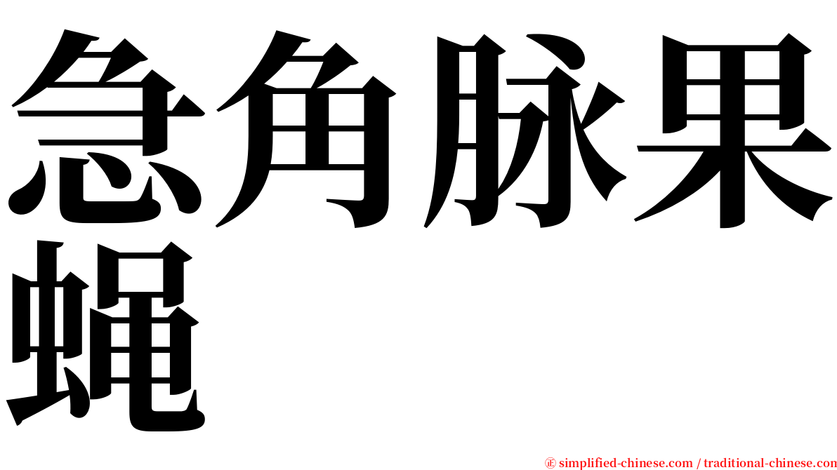 急角脉果蝇 serif font