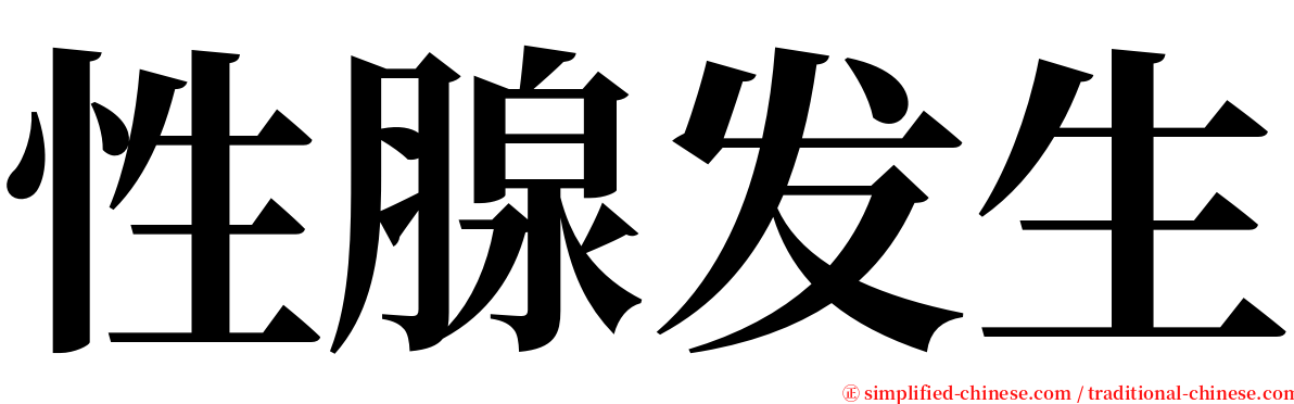 性腺发生 serif font