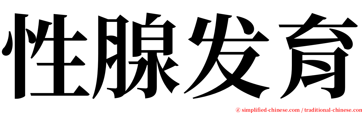 性腺发育 serif font