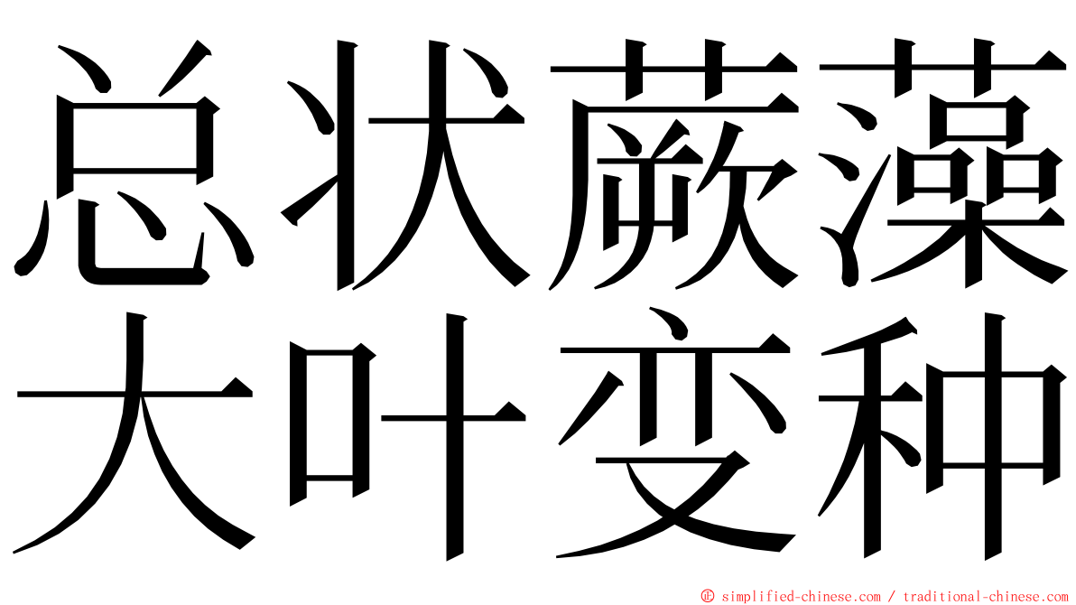 总状蕨藻大叶变种 ming font