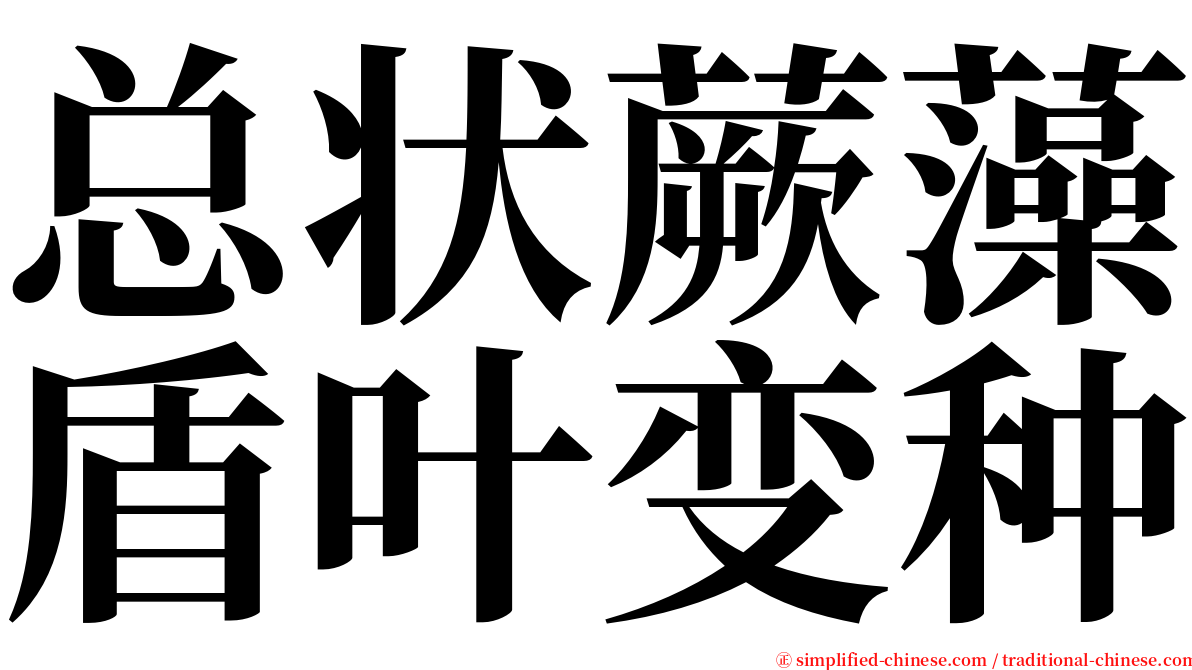 总状蕨藻盾叶变种 serif font