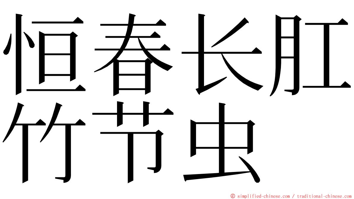 恒春长肛竹节虫 ming font