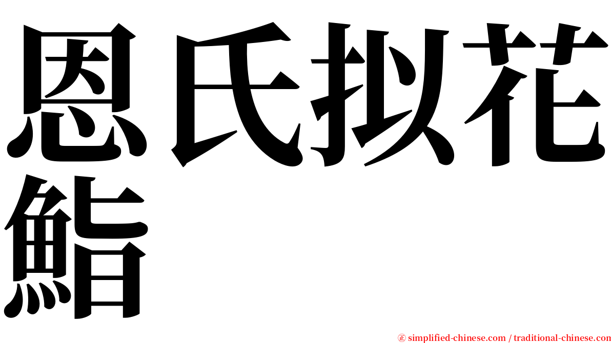 恩氏拟花鮨 serif font
