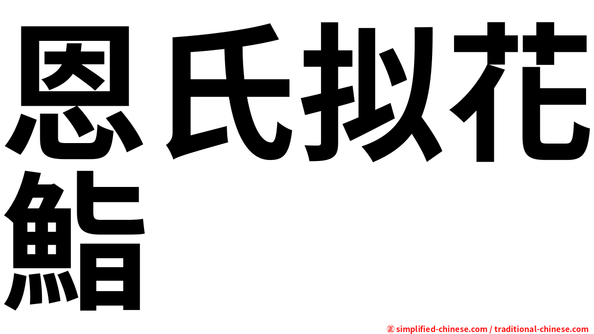 恩氏拟花鮨