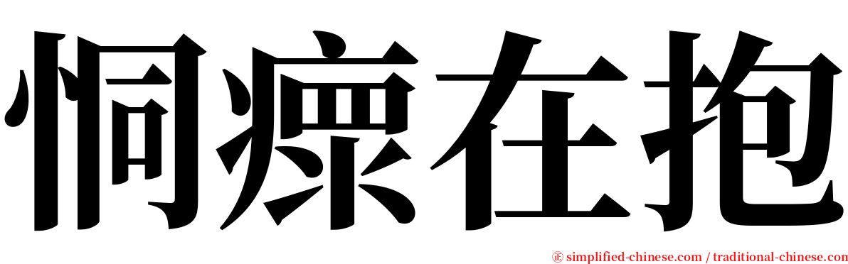 恫瘝在抱 serif font
