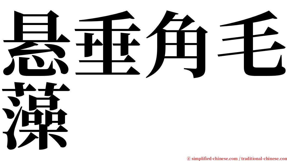 悬垂角毛藻 serif font