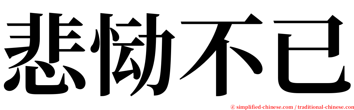 悲恸不已 serif font