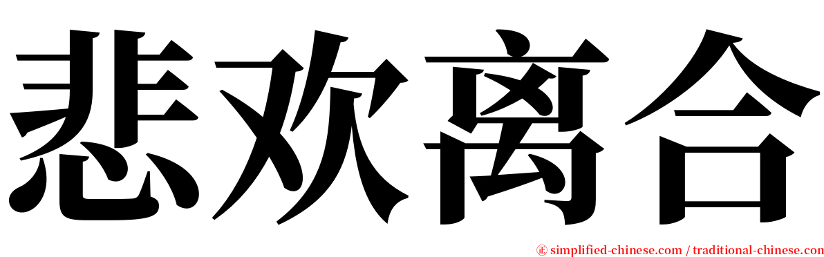 悲欢离合 serif font