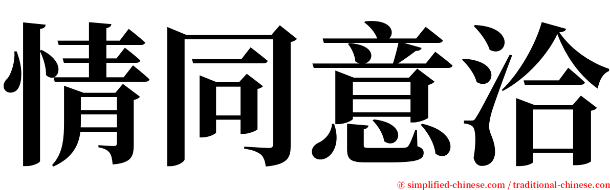 情同意洽 serif font