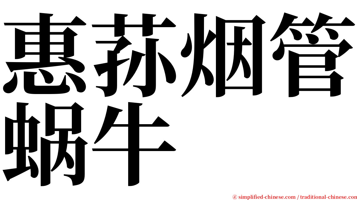 惠荪烟管蜗牛 serif font