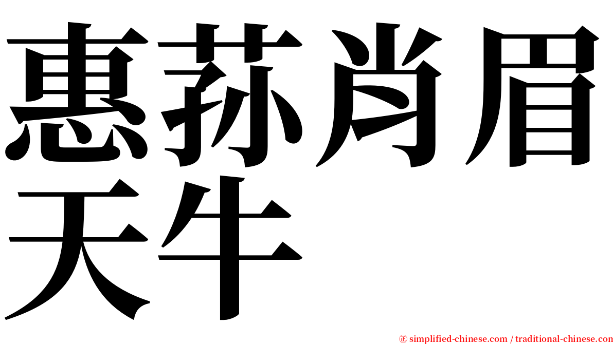 惠荪肖眉天牛 serif font