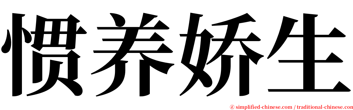 惯养娇生 serif font