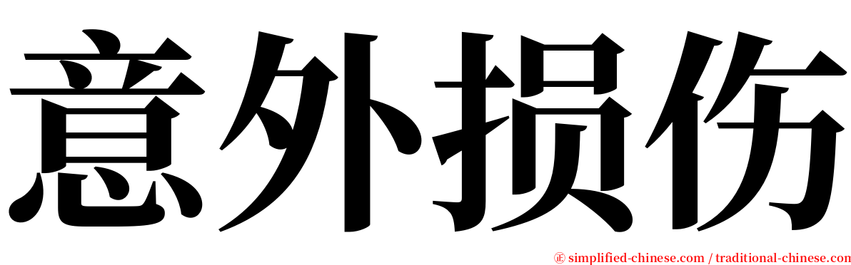 意外损伤 serif font